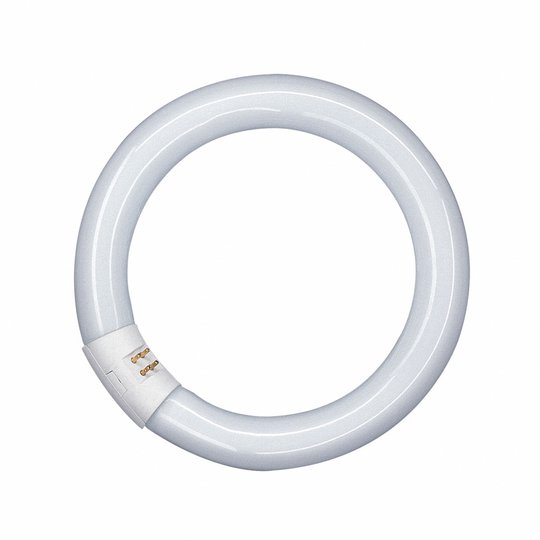 G10q 22W 865 Lumilux T9C -rengasloistelamppu
