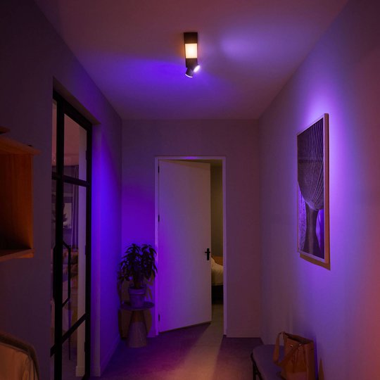 Philips Hue Centris LED-spotti kaksilamppuinen