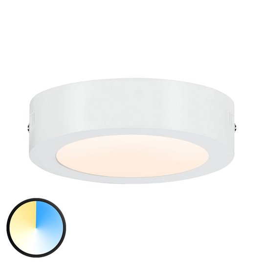 Paulmann Carpo -LED-kattovalaisin pyöreä 17cm