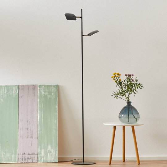 LED-lattiavalo Raggio, 2-lamppuinen, musta