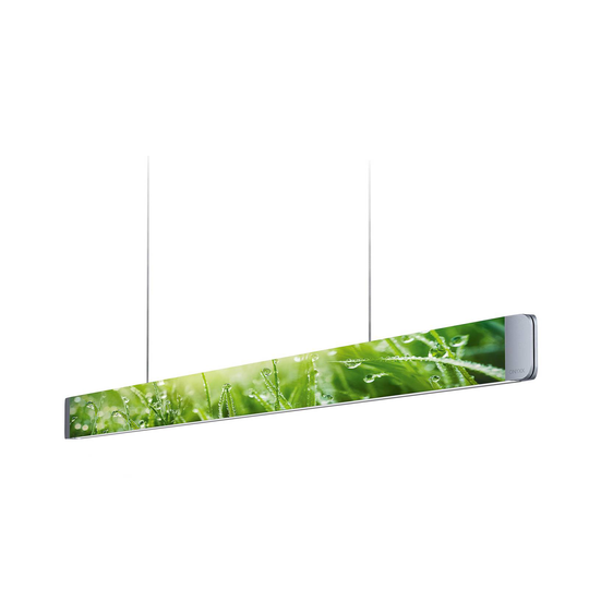 GRIMMEISEN Onyxx Linea Pro-riippuvalo luonto/hopea