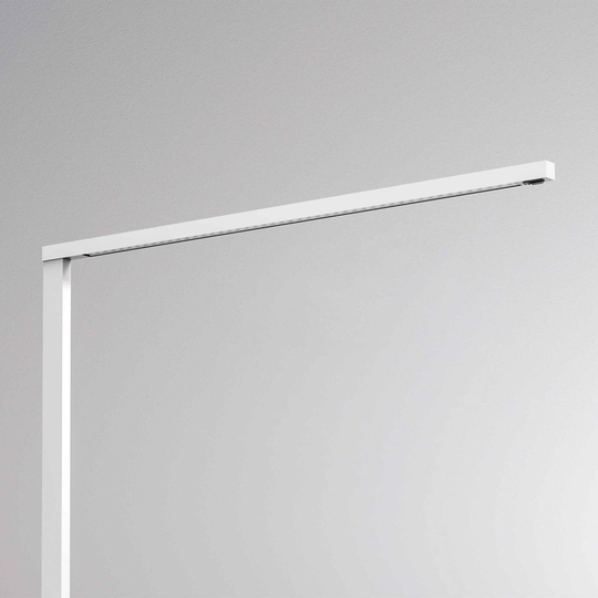 Molto Luce Lens Short Double F himmennys, musta
