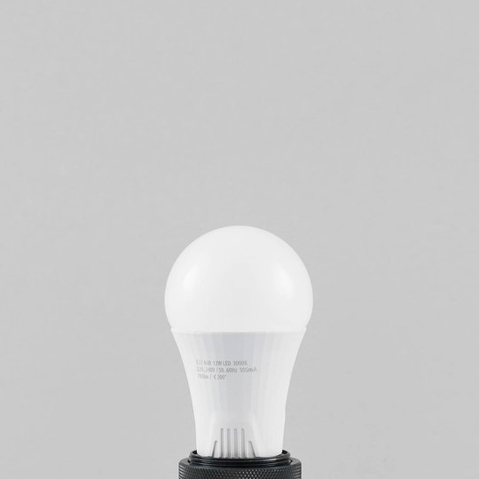 LED-lamppu E27 A60 Ballet 12W 3 000 K opaali