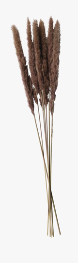 Pampas small olki tumma hiekka