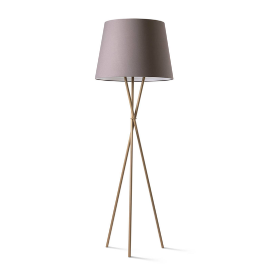 Ozonos Hailey AC-1 -LED-lattiavalo kulta/tuhka