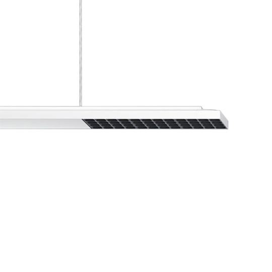 ERCO Jilly P DALI up/down oval wide valk/musta 840