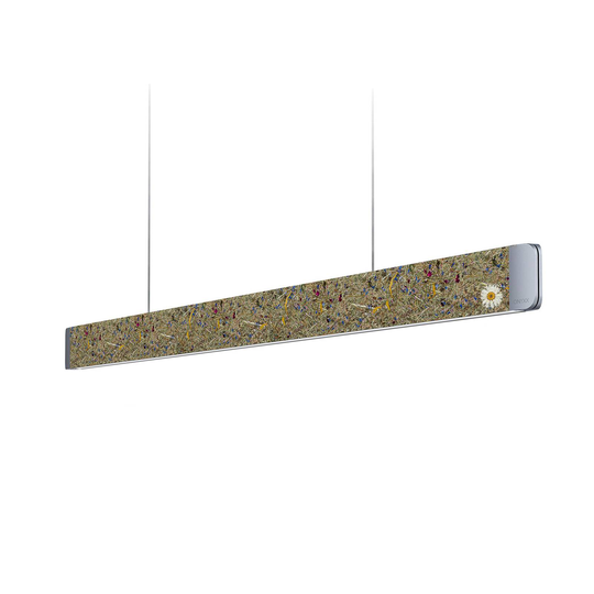 GRIMMEISEN Onyxx Linea Pro-riippuvalo niitty/hopea