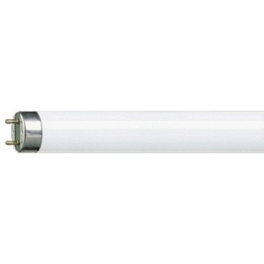 G13 T8 36 W Loistelamppu MASTER TL-D Super 830