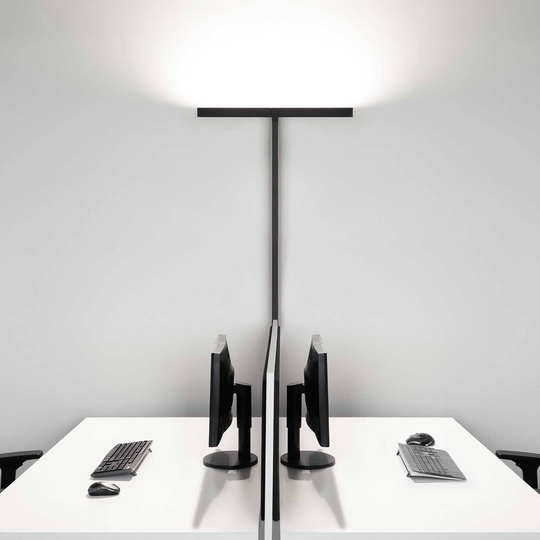 Molto Luce Concept Double F Sensor, musta