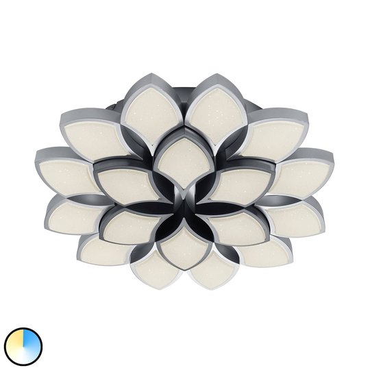 B-Leuchten Rose LED-kattovalaisin 65 cm