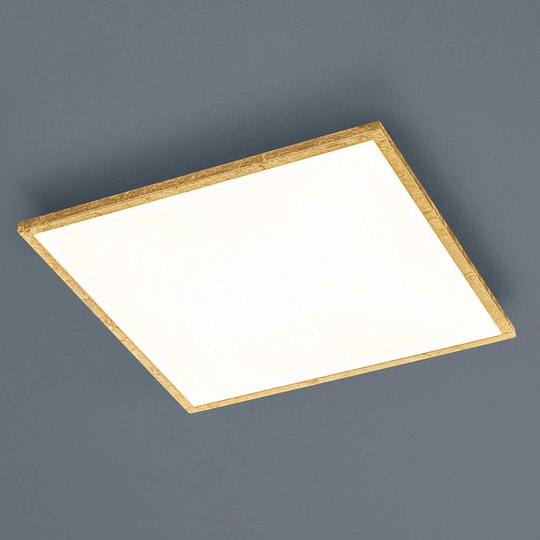 Helestra Rack -LED-kattovalaisin kulmikas kulta