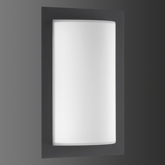 Grafiitinvärinen ulkoseinälamppu Luis LED-valolla