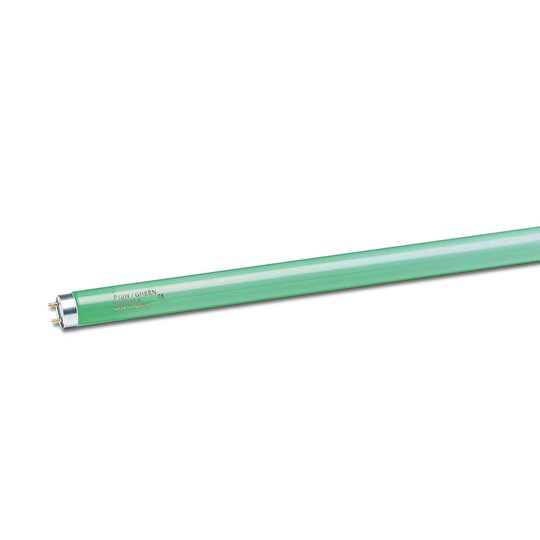 G13 T8 18W -loistelamppu sininen