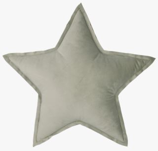 Stjerne Velour koristetyyny vaaleanvihreä