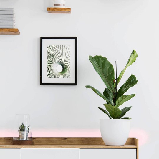 EGLO connect Stripe-C -LED-nauha RGBW 300 cm