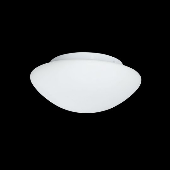 Ulkoseinälamppu Wayne lasia, 23 cm, IP44