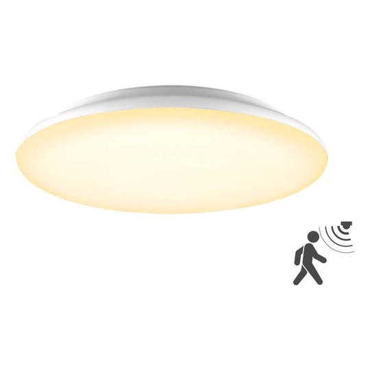 EVN Catino -LED-kattovalaisin, anturi, 40 cm