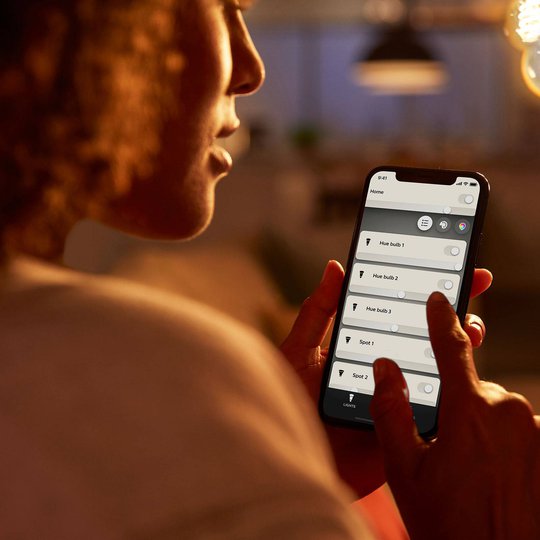 Philips Hue White E27 filamenttilamppu RustikaST64
