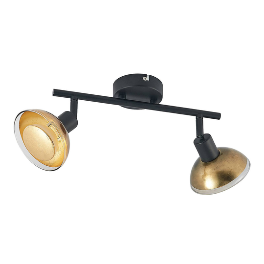 Lindby Erin -LED-kohdevalo, musta-kulta, 2-lamp.
