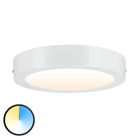 Paulmann Carpo -LED-kattovalaisin, pyöreä 22,5 cm