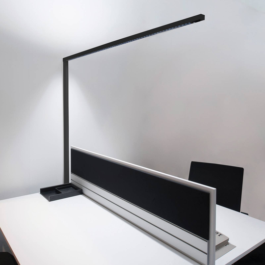 Molto Luce Lens Single F -lattiavalo, hopea
