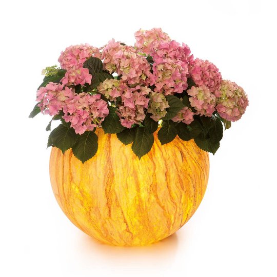 LED-kukka-astia Flora Sahara kaukosäätimellä
